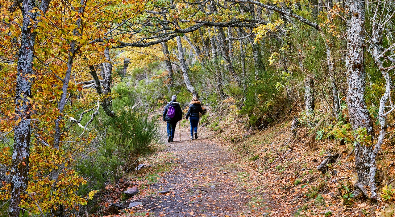 Parque Natural de la Sierra Norte de Guadalajara