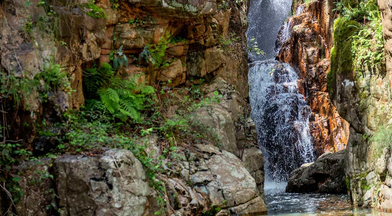 Parque Natural del Valle de Alcudia y Sierra Madrona